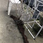gutter cleaning, iDo cleaning