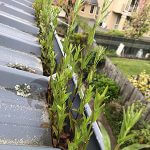gutter cleaning, iDo cleaning
