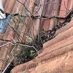 gutter cleaning, iDo cleaning