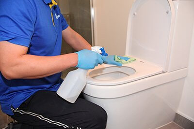 toilet cleaning